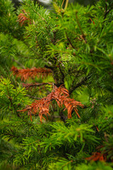 Similar image 21720813