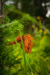 Similar image 21720814