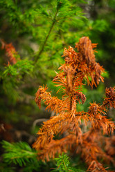 Similar image 21720815