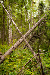 Similar image 21720817