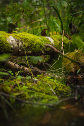 Similar image 21720825