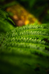 Similar image 21720826