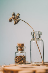 Similar image 21721679