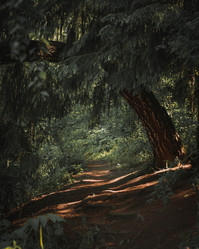 Similar image 21720700