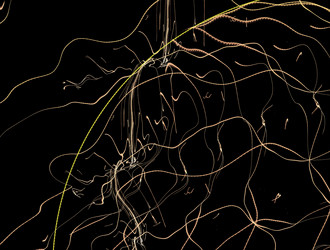 Similar image 21720994