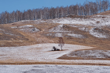 Similar image 21747103