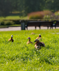 Similar image 21747109