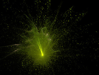 Similar image 21721028