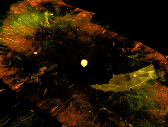 Similar image 21721049