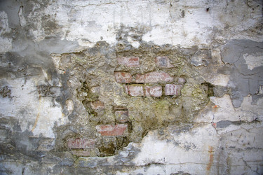 Similar image 21721682