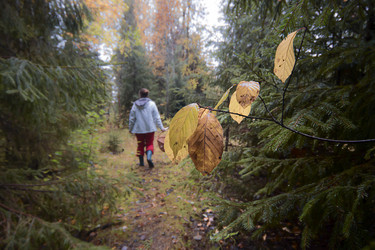 Similar image 21720716