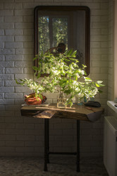 Similar image 21720719