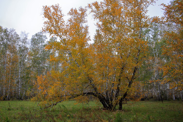 Similar image 21720836