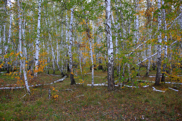 Similar image 21720837