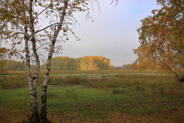 Similar image 21720838