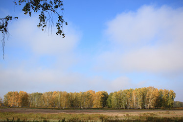 Similar image 21720839