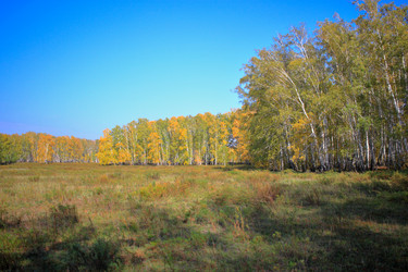 Similar image 21720840