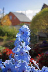 Similar image 21720846