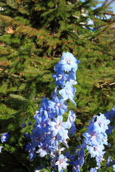 Similar image 21720847