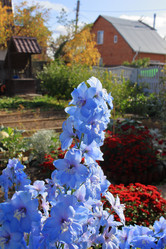 Similar image 21720848