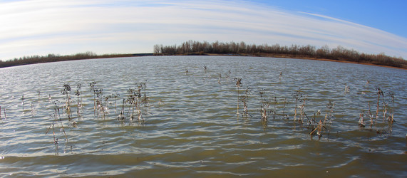 Similar image 21720852