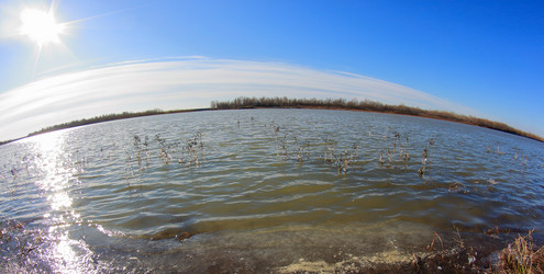 Similar image 21720854