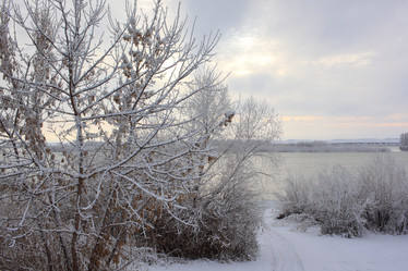 Similar image 21720856