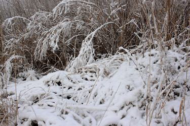 Similar image 21720953