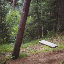 Similar image 21720743