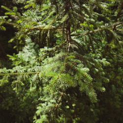 Similar image 21720745