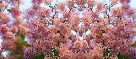 Similar image 21751878