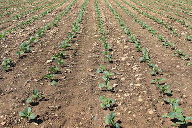 Similar image 21751880