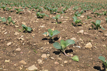 Similar image 21751881