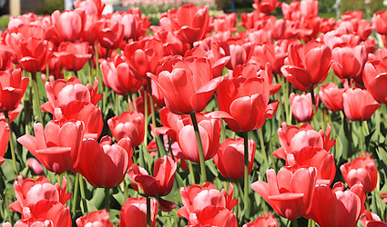 Similar image 21751884