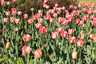 Similar image 21751885