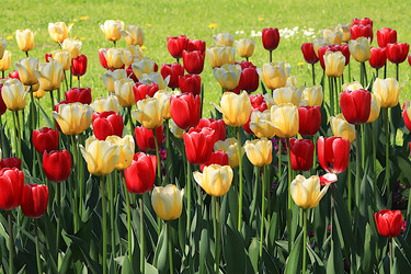 Similar image 21751886