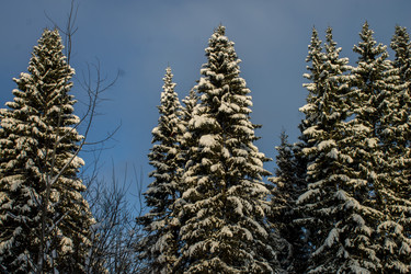 Similar image 21720956