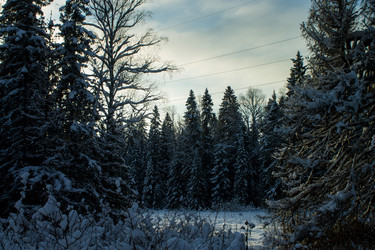 Similar image 21743784