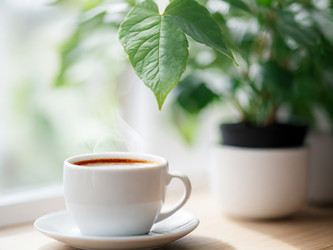 Similar image 21751259