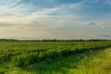 Similar image 21720778