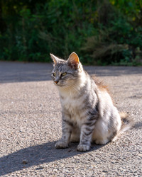 Similar image 21720786