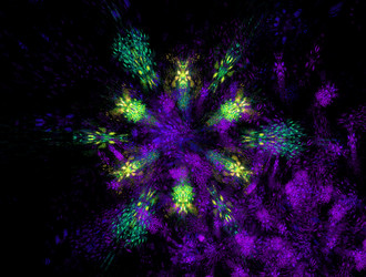 Similar image 21721218