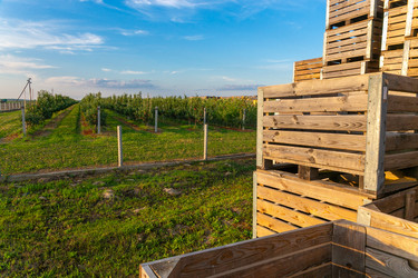 Similar image 21721685