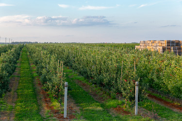 Similar image 21721689