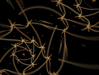 Similar image 21721243