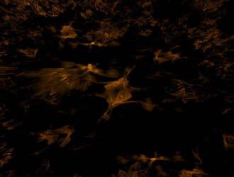 Similar image 21721246