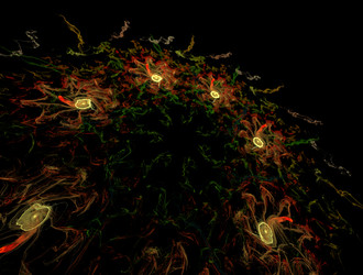 Similar image 21721284