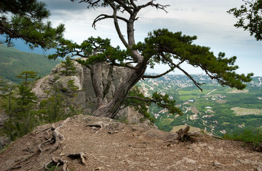 Similar image 21720957