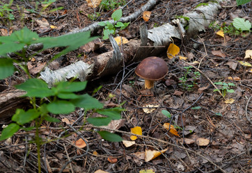 Similar image 21722601