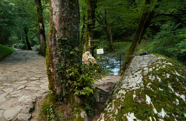 Similar image 21722603